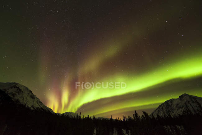 Helles Polarlicht über Bergen und Wäldern — Stockfoto
