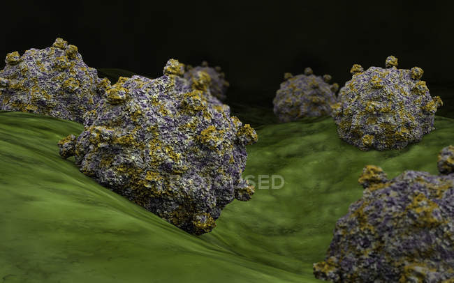 Концептуальное изображение коксакиевирусных клеток — стоковое фото