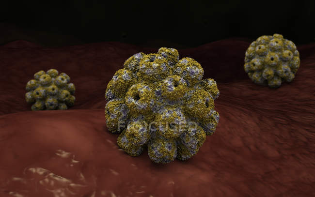 Концептуальное изображение полиомавирусных клеток — стоковое фото
