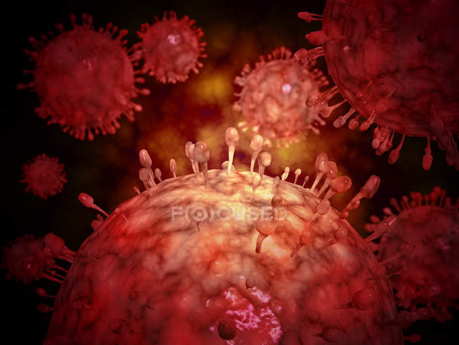 Vista microscópica del virus de la gripe porcina - foto de stock