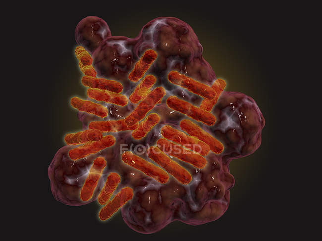 Mikroskopische Ansicht von Ricettsia-Bakterien auf schwarzem Hintergrund — Stockfoto