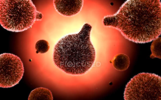 Imagen conceptual del plasmodium causante de malaria - foto de stock