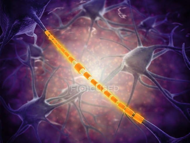 Imagen conceptual de una neurona con axón aligerado - foto de stock