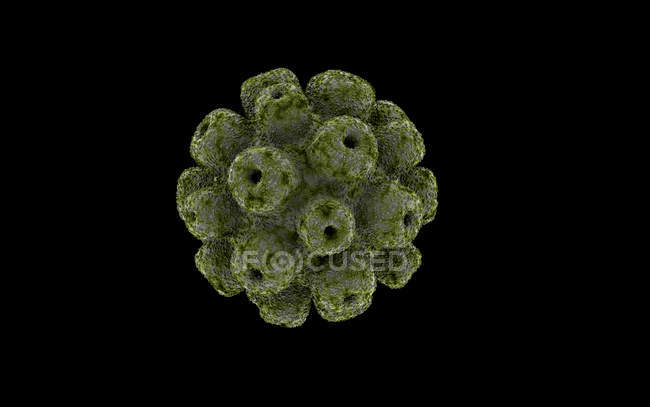 Imagen conceptual de la célula del poliomavirus - foto de stock