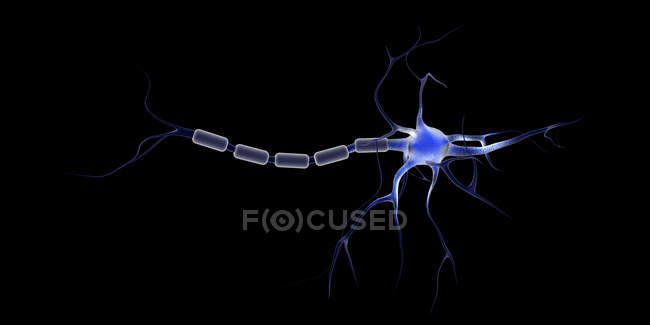 Imagen conceptual de una neurona sobre fondo negro - foto de stock