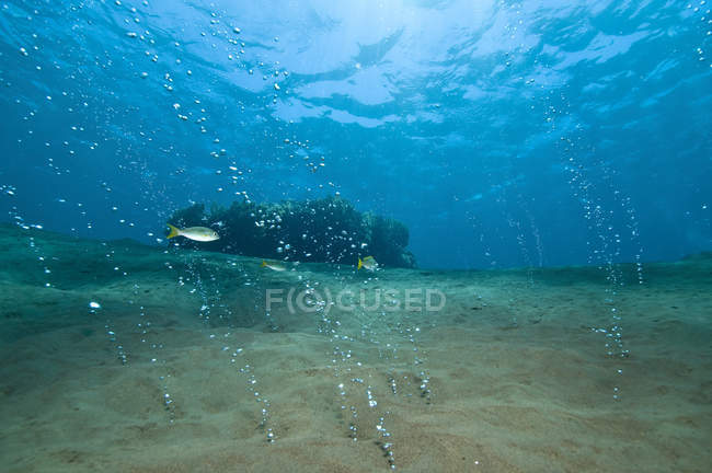 Bubbles streaming out of sandy bottom — Stock Photo