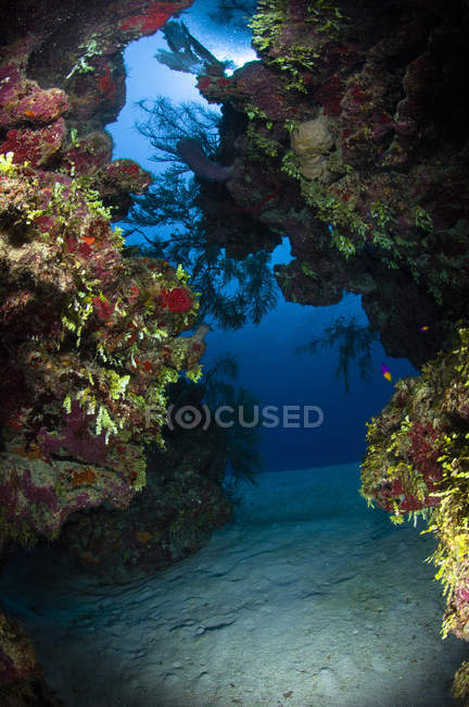 Fenda subaquática através do recife de coral — Fotografia de Stock