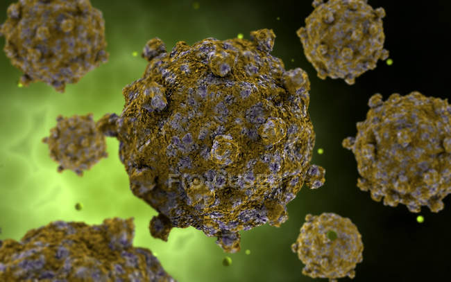 Imagem conceitual de células coxsackievirus — Fotografia de Stock