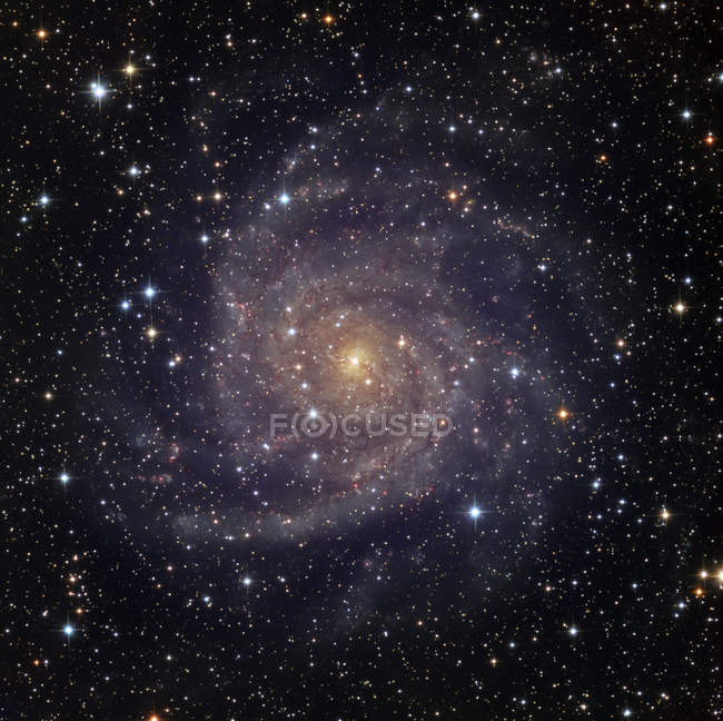 IC342 galaxie spirale dans la constellation Camelopardalis — Photo de stock