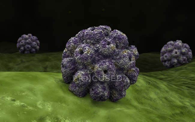 Conceptual image of polyomavirus cells — Stock Photo