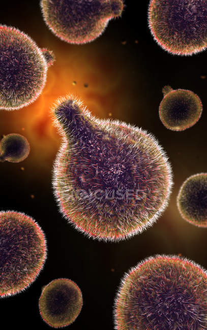 Imagen conceptual del plasmodium causante de malaria - foto de stock
