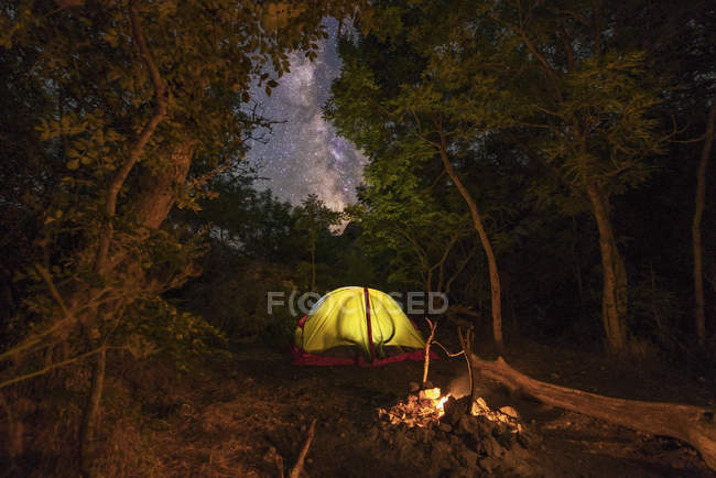 Tente éclairée et feu de joie dans la forêt — Photo de stock