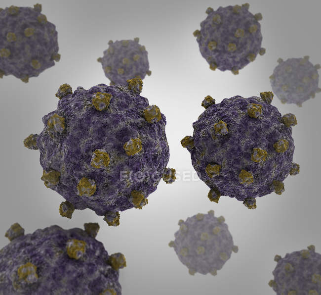 Imagen conceptual de las células del coxsackievirus - foto de stock