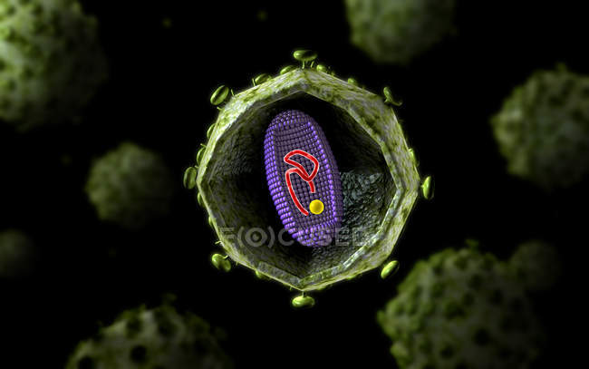 Visão microscópica da secção transversal do vírus VIH — Fotografia de Stock