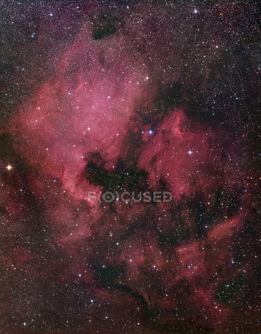 Nébuleuse d'émission NGC7000 dans la constellation du Cygnus — Photo de stock
