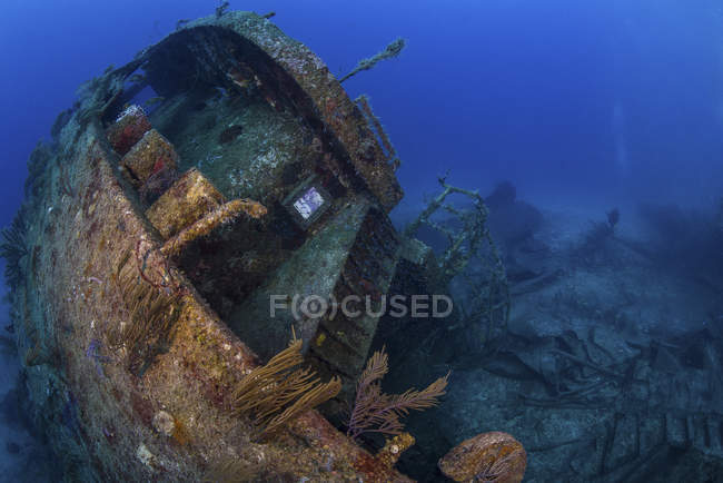 Barco hundido cerca de la isla de Gran Bahama - foto de stock