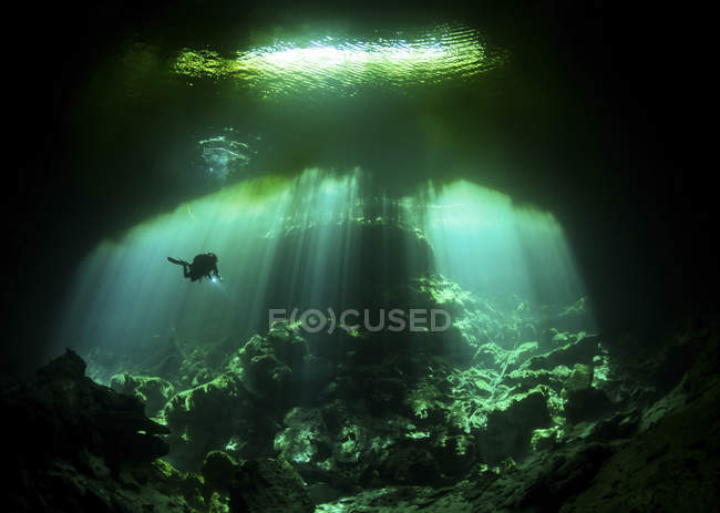 Plongeur dans Jardin d'Eden cenote — Photo de stock