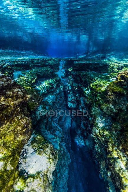 Underwater crevice in Ginnie Springs — Stock Photo