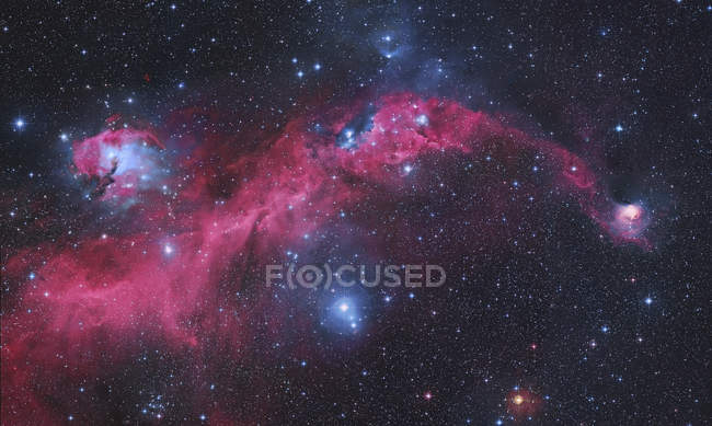 Paisaje estelar con nebulosa de gaviota - foto de stock