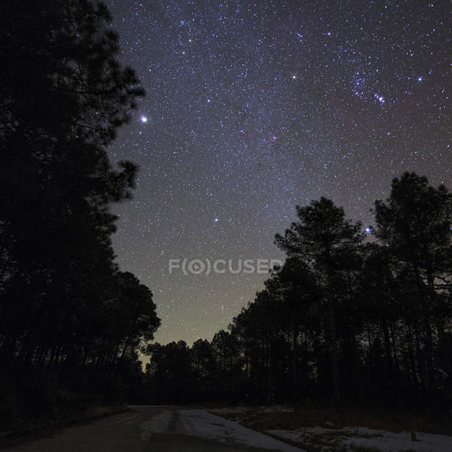 Paesaggio stellato sopra i boschi nella provincia dello Yunnan — Foto stock