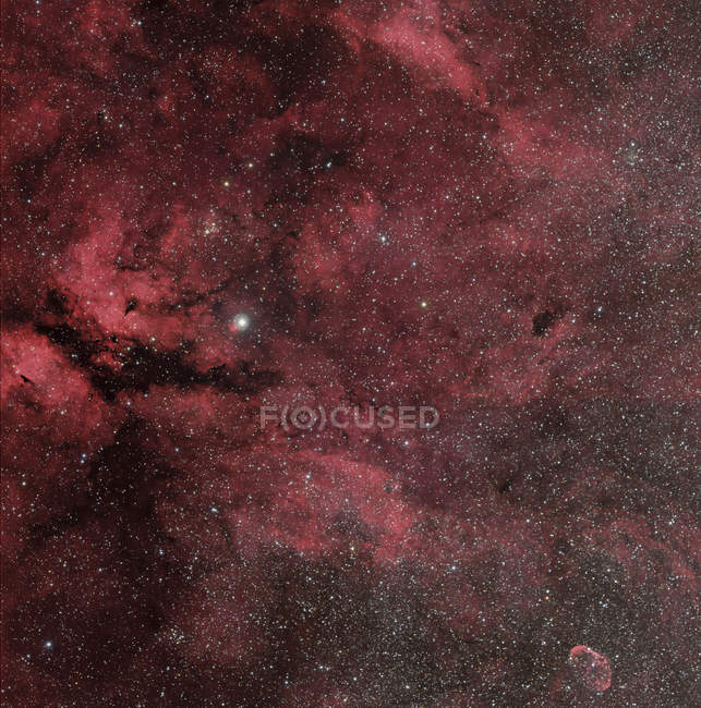Sternenlandschaft mit Gamma-Cyg-Region — Stockfoto