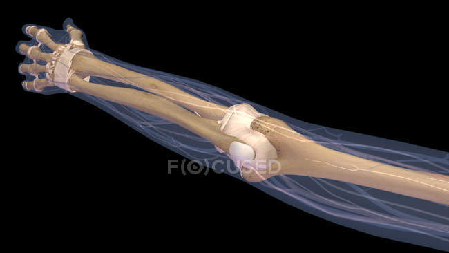 Braço humano com articulação do cotovelo e ossos raio-x sobre fundo preto — Fotografia de Stock