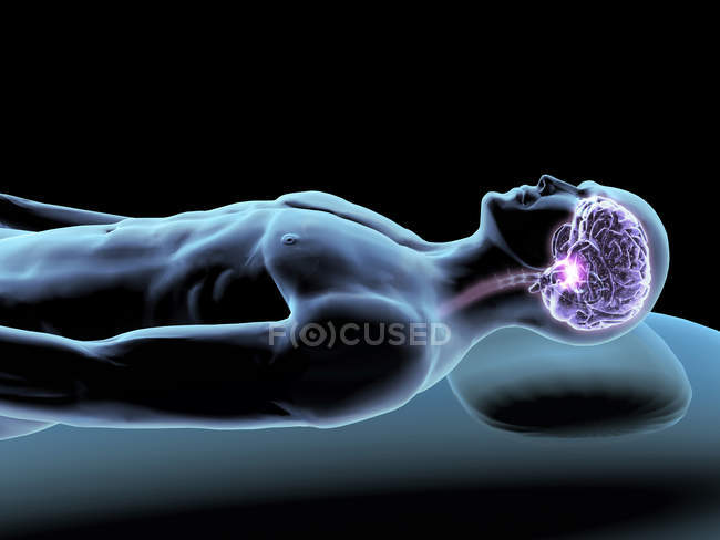 Ilustración de rayos X del hombre dormido con cerebro - foto de stock