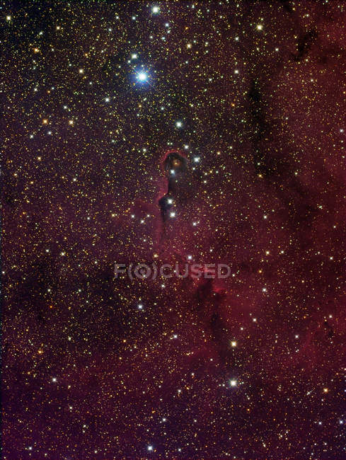 Nebulosa del tronco di elefanti IC 1396 in alta risoluzione — Foto stock