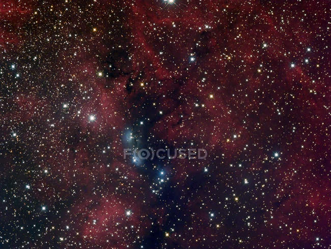 NGC 6914 (відзеркалююча туманність) у Cygnus з високою роздільною здатністю — стокове фото
