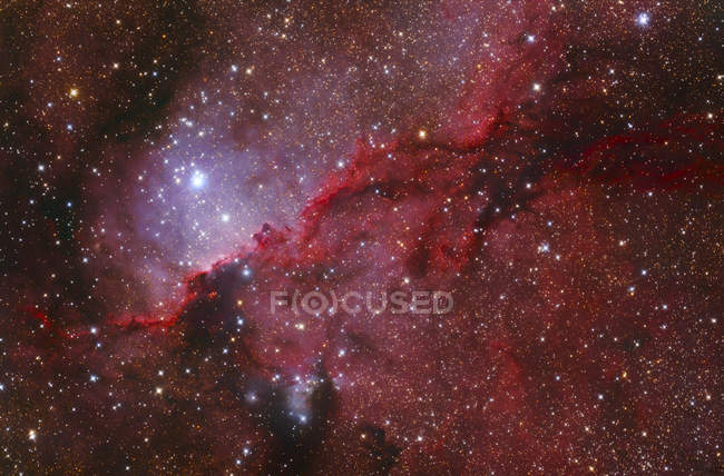 Nebulosa de emisión Starforming NGC 6188 en constelación Ara en alta resolución - foto de stock