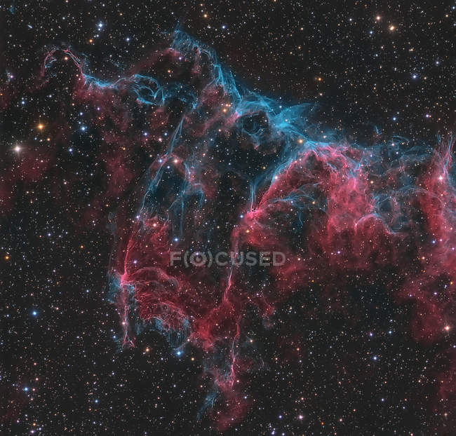 Туманность Бэт NGC 6995 часть Туманности Вейл в Сигнусе — стоковое фото
