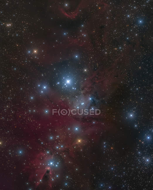Árvore de Natal Cluster e Nebulosa do Cone em cores verdadeiras — Fotografia de Stock