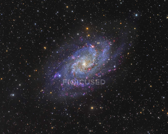 Triangulum Galaxy Messier 33 в созвездии Треугольник с высоким разрешением — стоковое фото