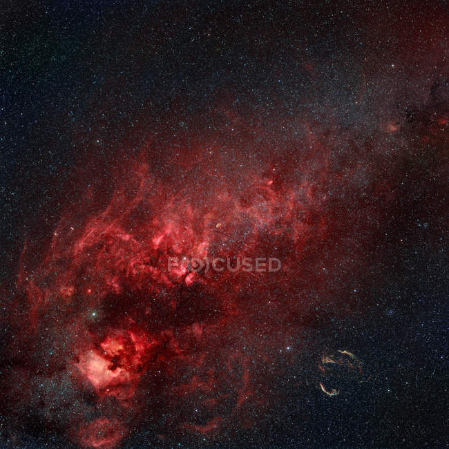Constellation Cygnus showing North America Nebula — Stock Photo