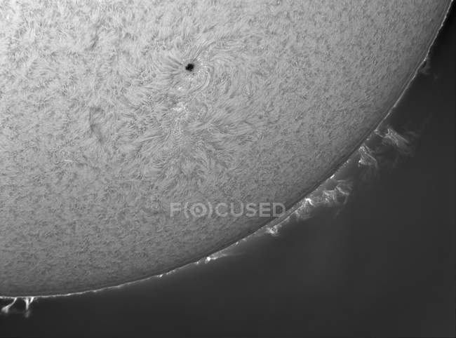 H-alpha sun with solar prominences in outer space — Stock Photo