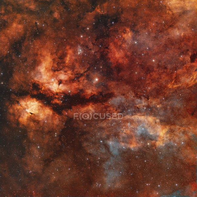 IC 1318 Nebulosa della farfalla attorno alla stella Gamma-Cygni — Foto stock