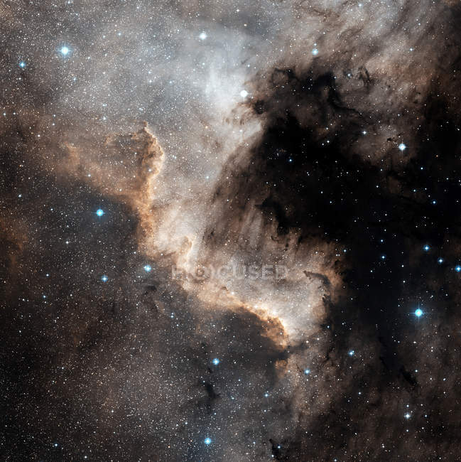 Nébuleuse nord-américaine NGC 7000 dans la constellation Cygnus — Photo de stock
