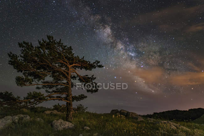 Baum auf dem Gipfel des Berges unter Sternen und Milchstraße, Krim — Stockfoto