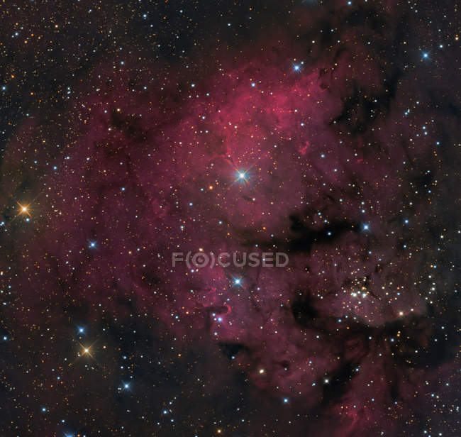 NGC 7822 complexo de formação de estrelas na constelação de Cepheus — Fotografia de Stock