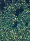 Aerial view of SUP surfer, Primorsky region, Russia — Stock Photo