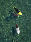 Vista aérea de surfistas de SUP, región de Primorsky, Rusia - foto de stock