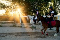 Pessoas montando cavalos na aula de equitação — Fotografia de Stock