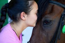 Девушка ухаживает за лошадью перед занятиями — стоковое фото