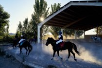 Kinder reiten Pferde in der Reitklasse — Stockfoto