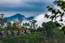 Casas de una cabaña de té sobre Ella en Sri Lanka - foto de stock