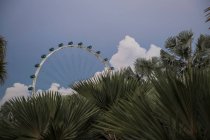 Ruota panoramica vista dai giardini di Marina Bay a Singapore — Foto stock