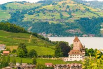 Hermoso pueblo de Spiez en el lago Thun en los Alpes suizos cerca de Interlaken - foto de stock