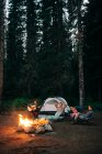 Un grupo de amigos se sientan alrededor de una fogata mientras acampan en Oregon. - foto de stock