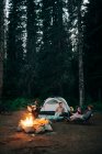 Un groupe d'amis s'assoient autour d'un feu de camp tout en campant dans l'Oregon. — Photo de stock
