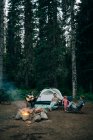 A group of friends sit around a campfire while camping in Oregon. — Stock Photo